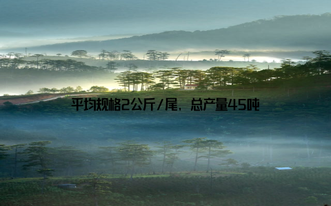 平均规格2公斤/尾, 总产量45吨