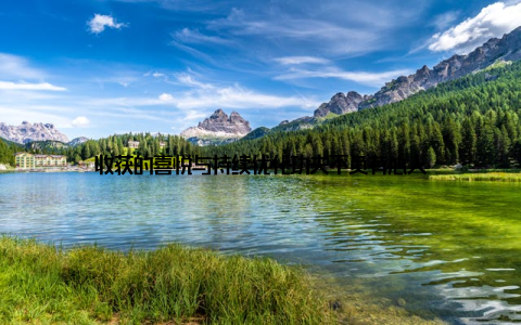 收获的喜悦与持续优化功夫不负有心人