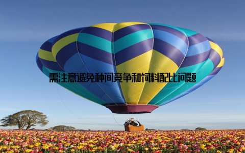 需注意避免种间竞争和饲料配比问题