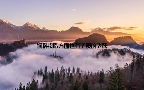 饲料投喂方面也有了质的飞跃