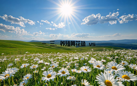 — 三、养殖黄花鱼 vs