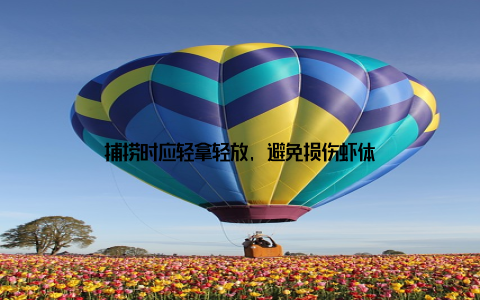 捕捞时应轻拿轻放, 避免损伤虾体