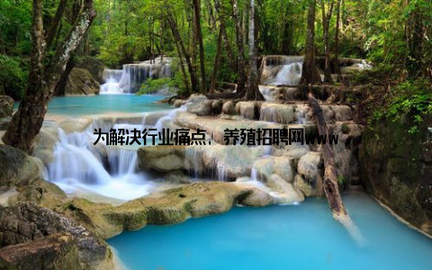 为解决行业痛点, 养殖招聘网www