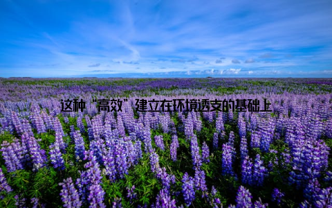 这种“高效”建立在环境透支的基础上