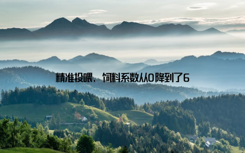 精准投喂, 饲料系数从0降到了6