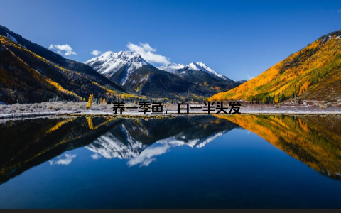 “养一季鱼, 白一半头发