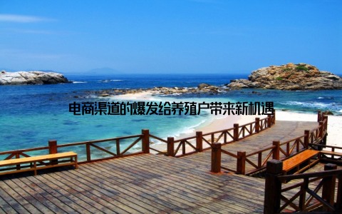 电商渠道的爆发给养殖户带来新机遇