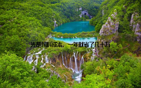 光是饲料成本, 一年就省了几十万