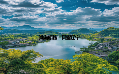 渤海明珠, 闪耀辽宁