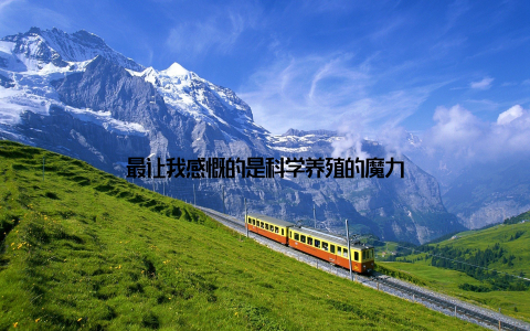 最让我感慨的是科学养殖的魔力