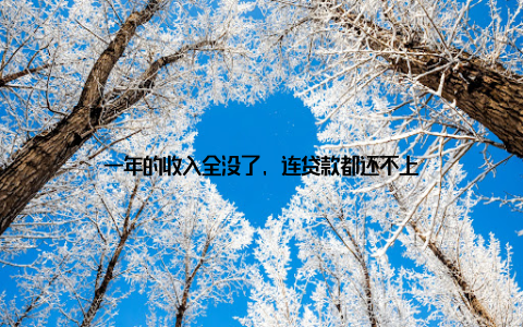一年的收入全没了, 连贷款都还不上