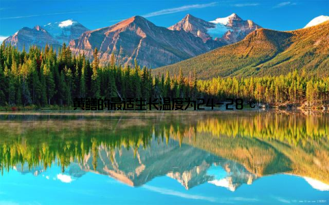 黄鳝的最适生长温度为24-28℃