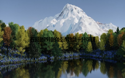 石斑鱼养殖的经济效益十分可观