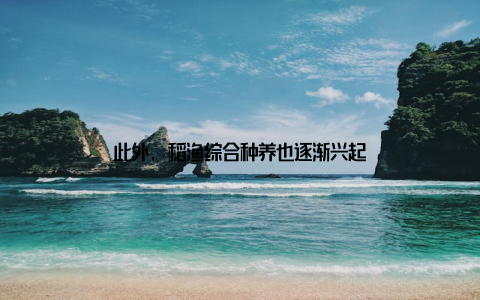 此外, 稻渔综合种养也逐渐兴起