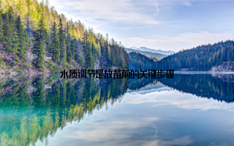 水质调节是放苗前的关键步骤