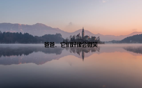 爸爸, 它们好像会微笑