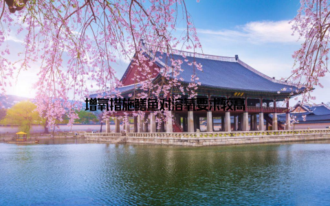 增氧措施鳝鱼对溶氧要求较高