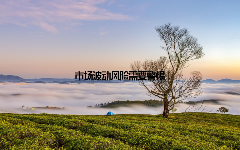 市场波动风险需要警惕