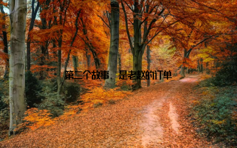 第二个故事, 是老赵的订单